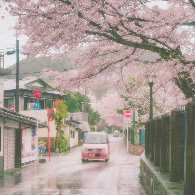 开炮吧船长官方版(暂未上线)v2.0 安卓版